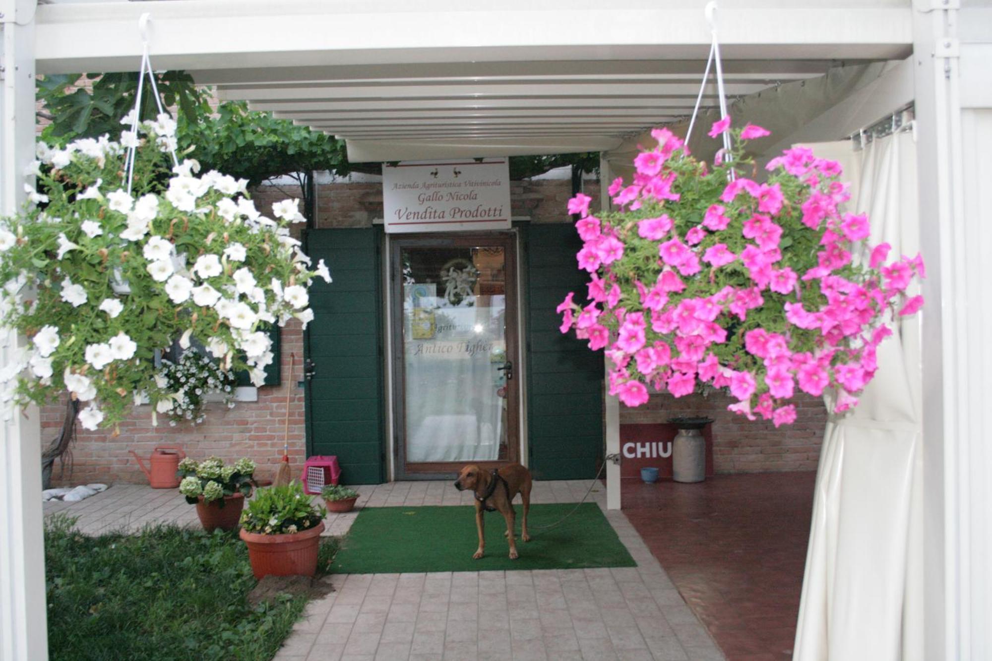 Locanda Antico Figher Villa Musile di Piave Buitenkant foto